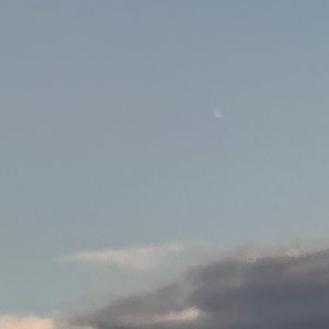 Meet your Posher, Caitlin